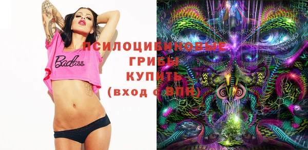 спайс Гусиноозёрск