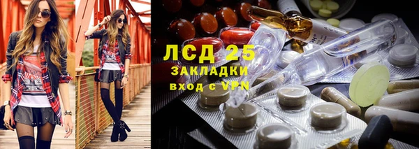 2c-b Дмитриев