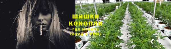 дурь Гусь-Хрустальный